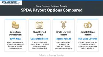 Four SPDA payout options from lump sum to joint lifetime income illustrated