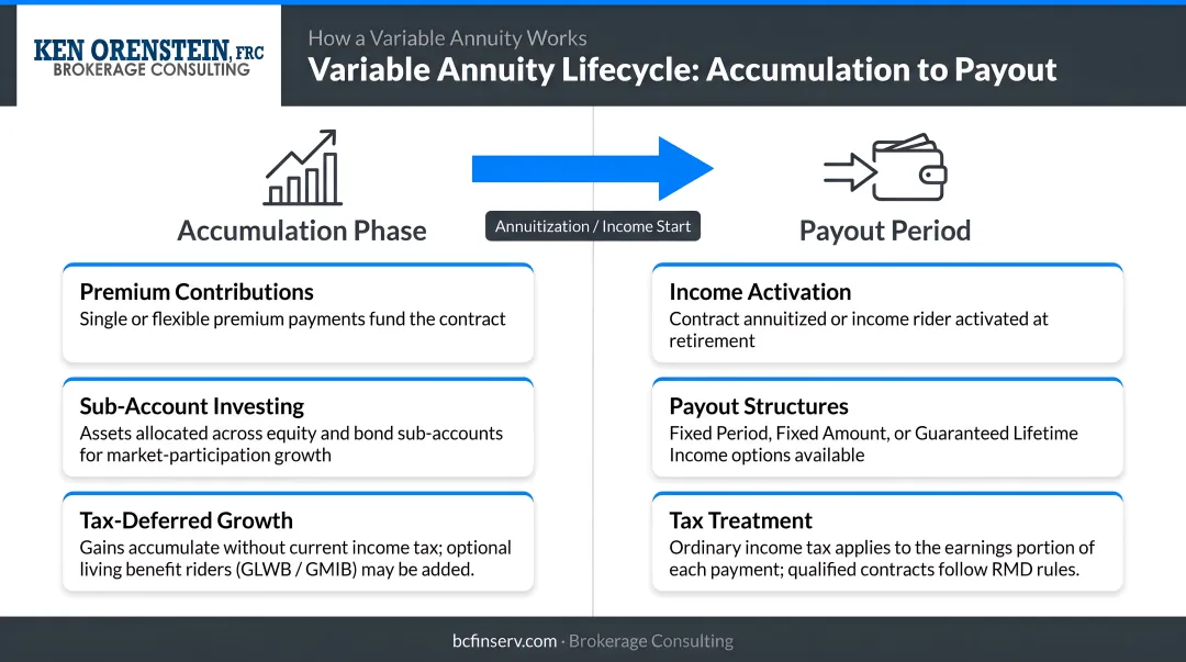 Variable annuity two-phase lifecycle from accumulation to payout period