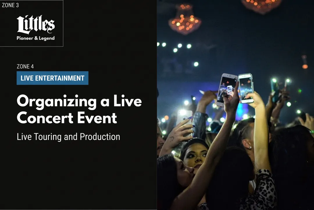Organizing a Live Concert Event