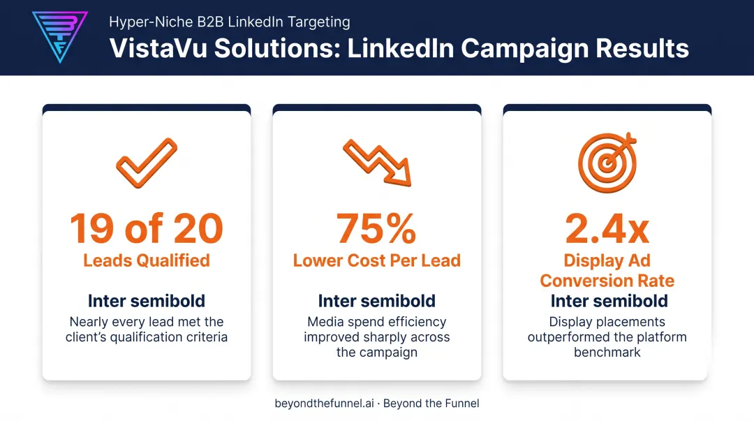 VistaVu Solutions LinkedIn niche targeting campaign results breakdown