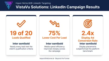 VistaVu Solutions LinkedIn niche targeting campaign results breakdown