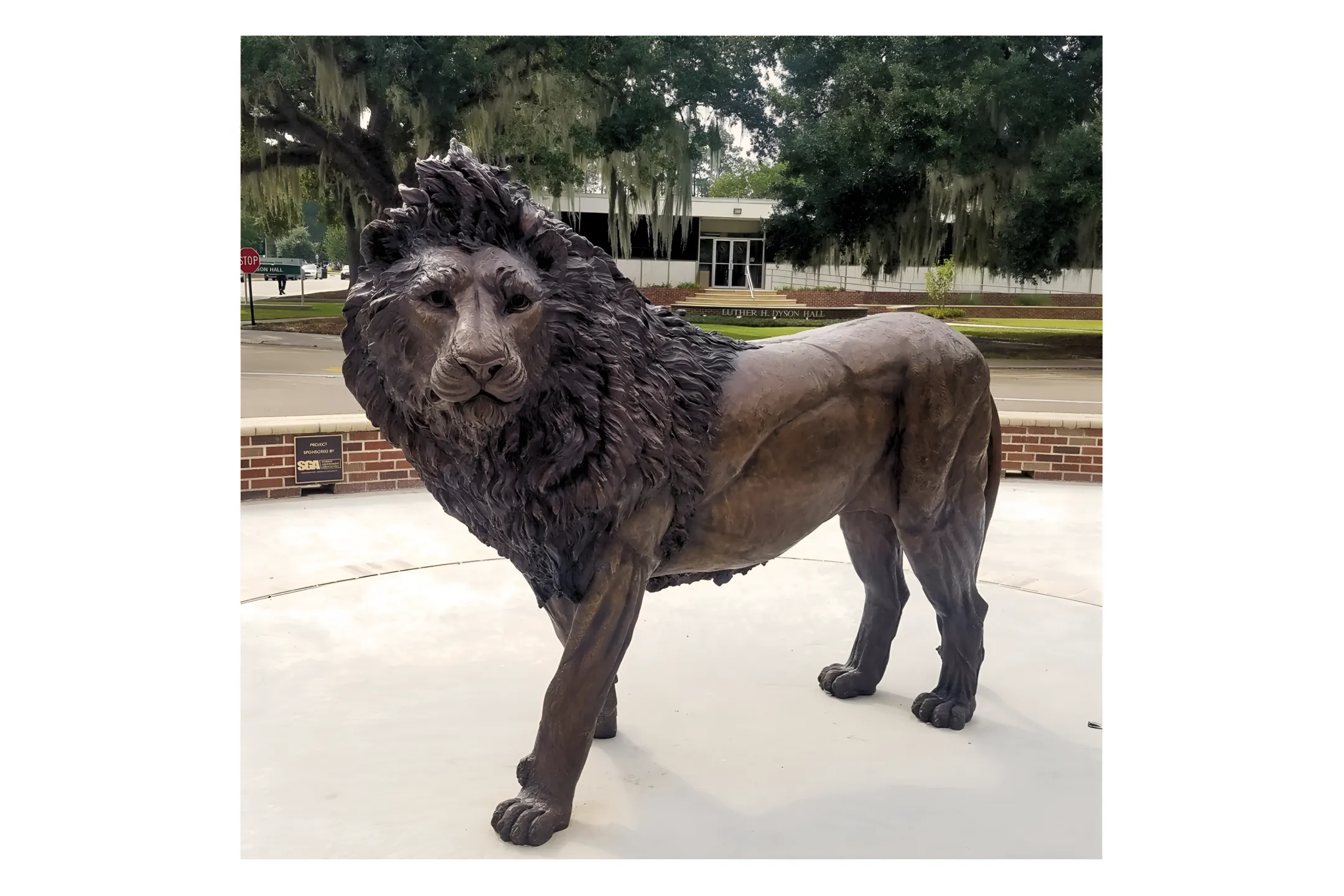 Bronze Lion Sculptures | Bronze Lion Sculptures