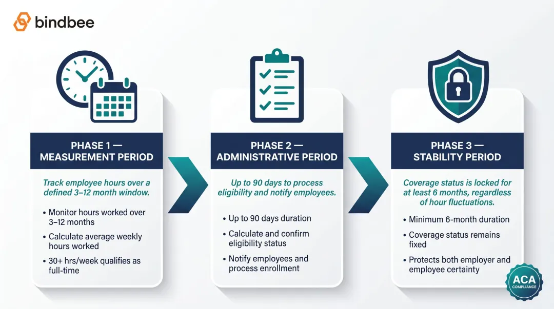ACA lookback three-phase cycle measurement administrative and stability periods flow