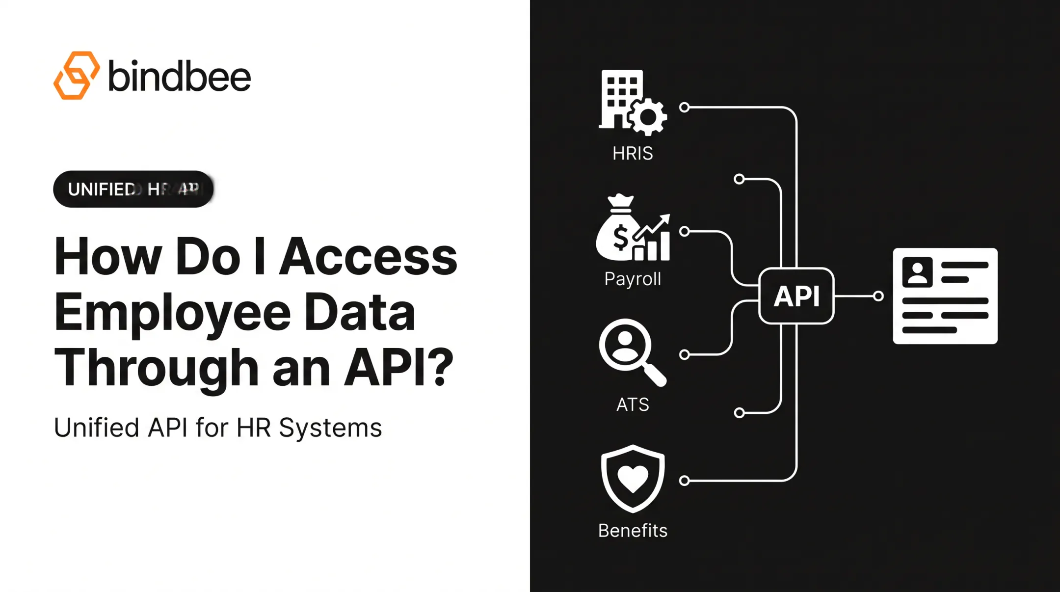 How Do I Access Employee Data Through an API?