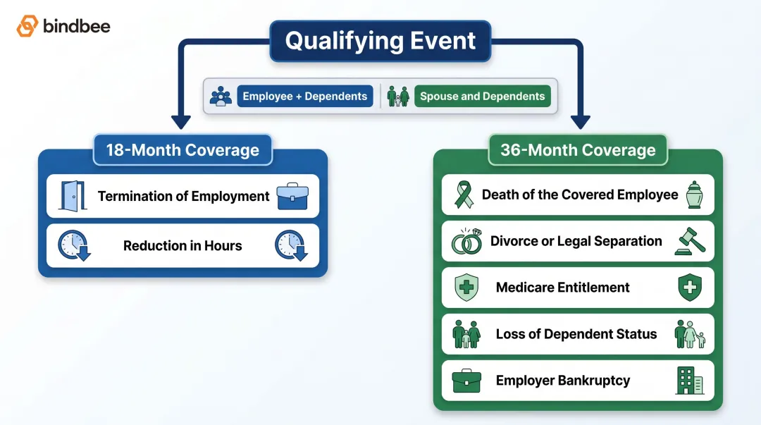 7 COBRA qualifying events organized by 18-month and 36-month coverage duration