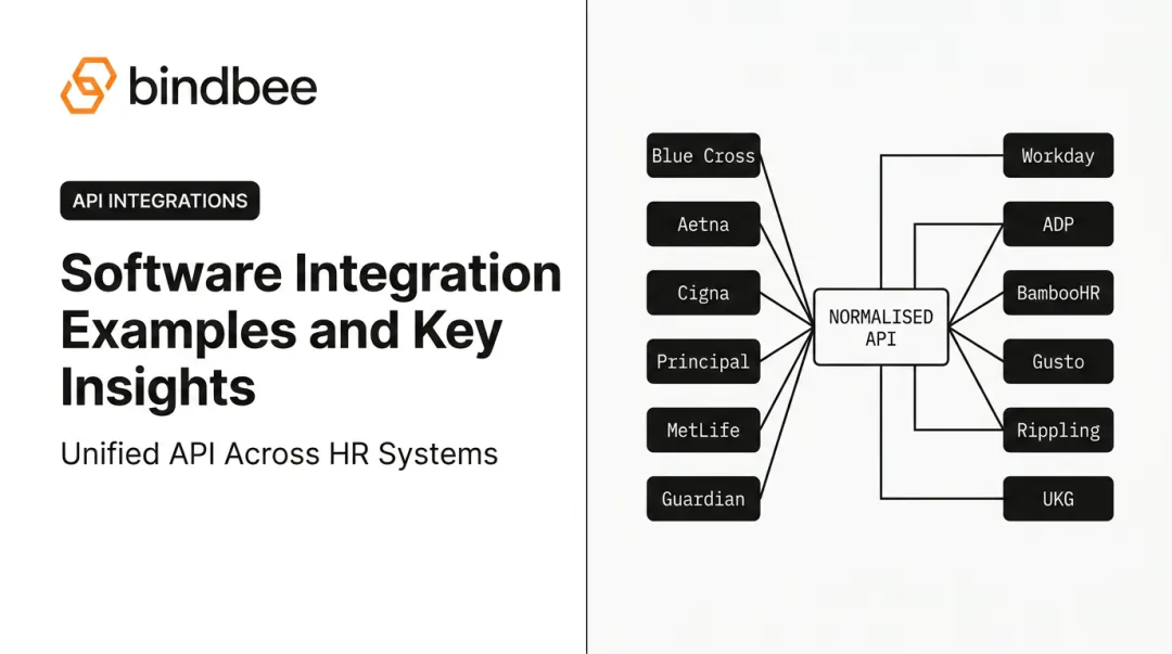 Software Integration Examples and Key Insights