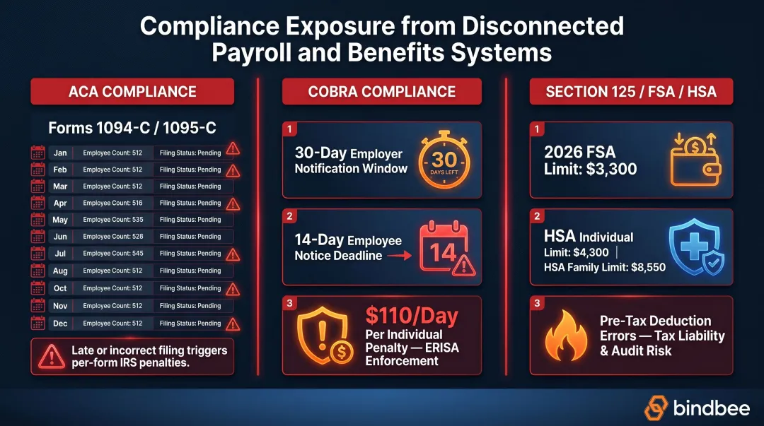 ACA COBRA FSA HSA payroll compliance penalties and deadlines overview infographic