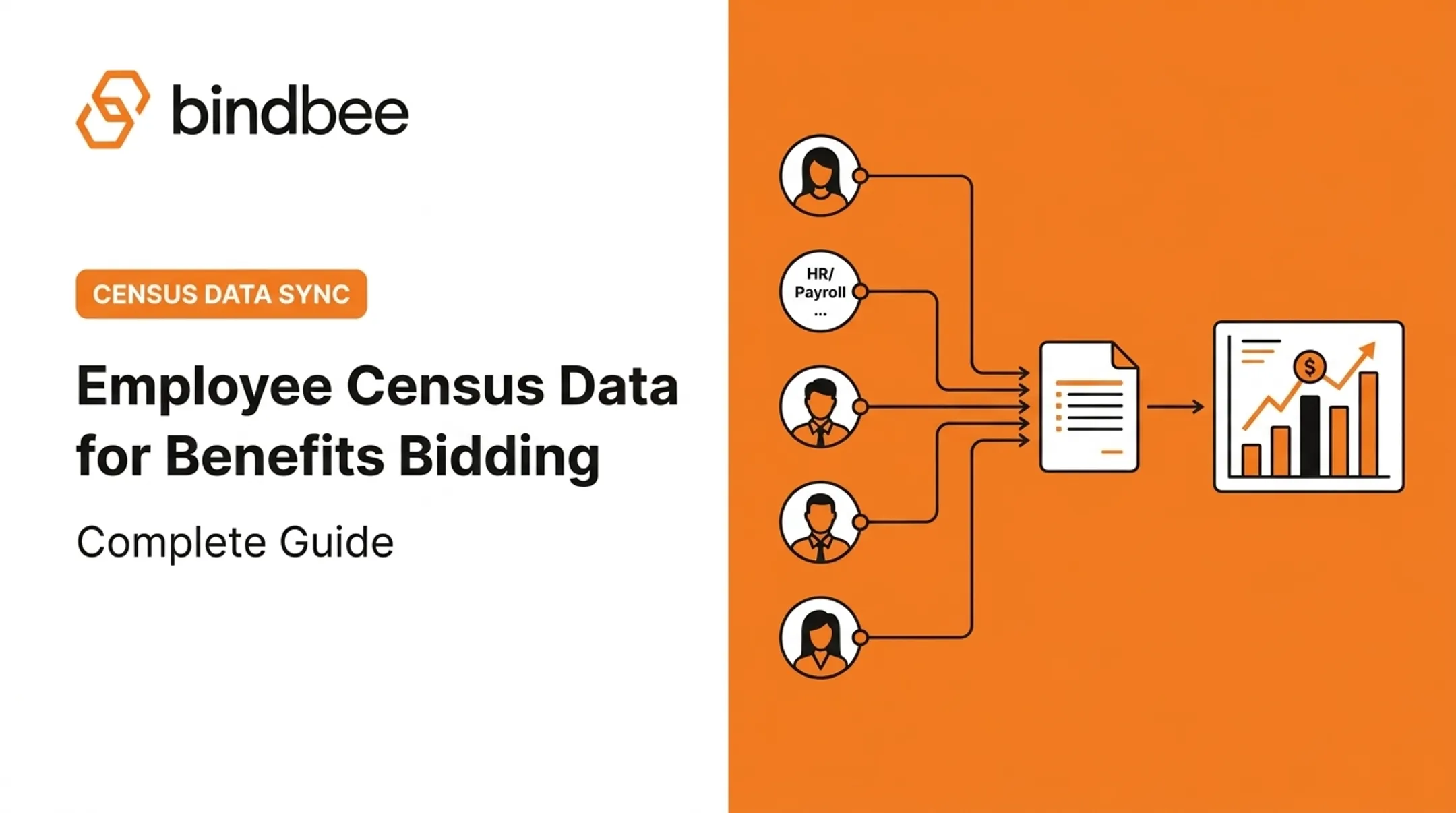 Employee Census Data for Benefits Bidding: Complete Guide