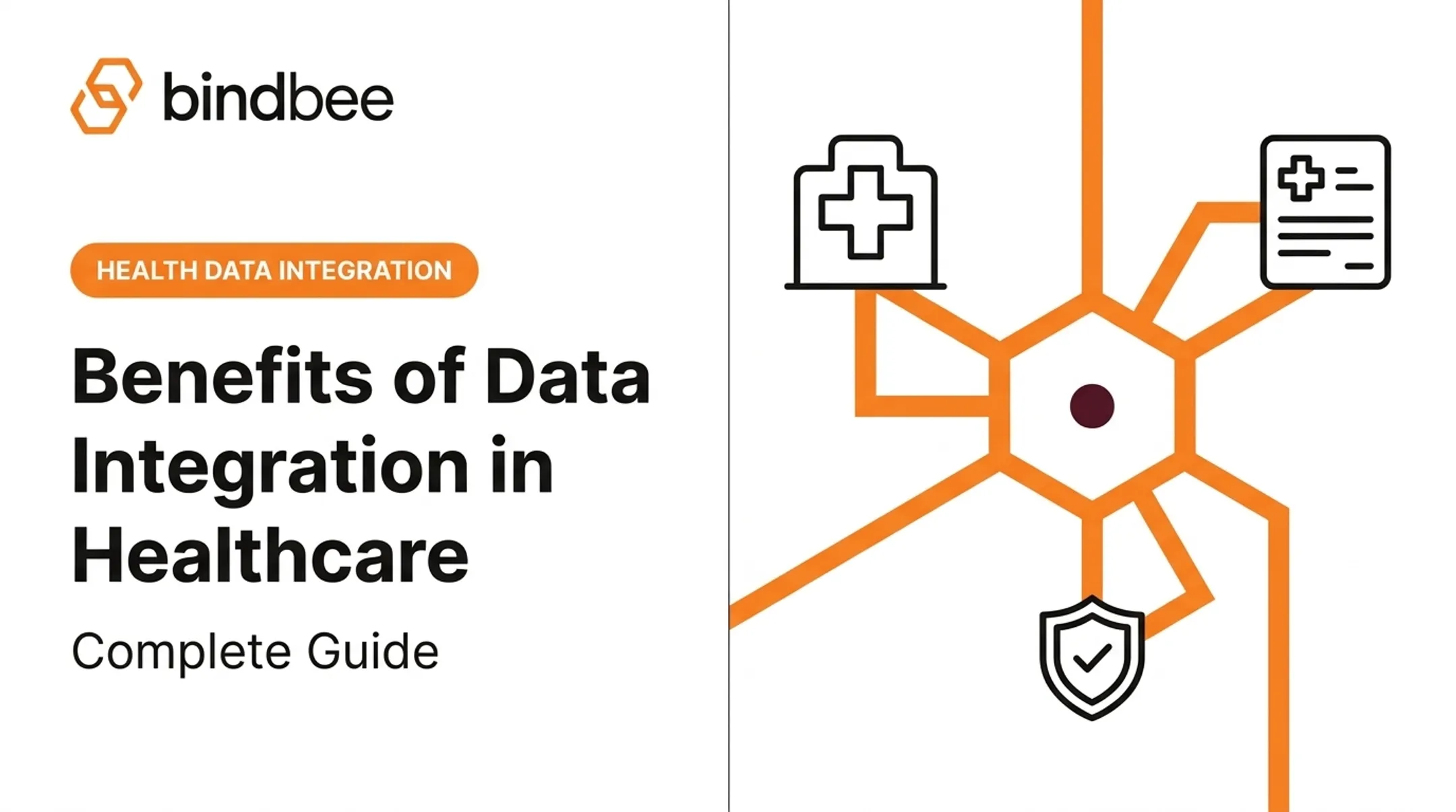 Benefits of Data Integration in Healthcare: Complete Guide