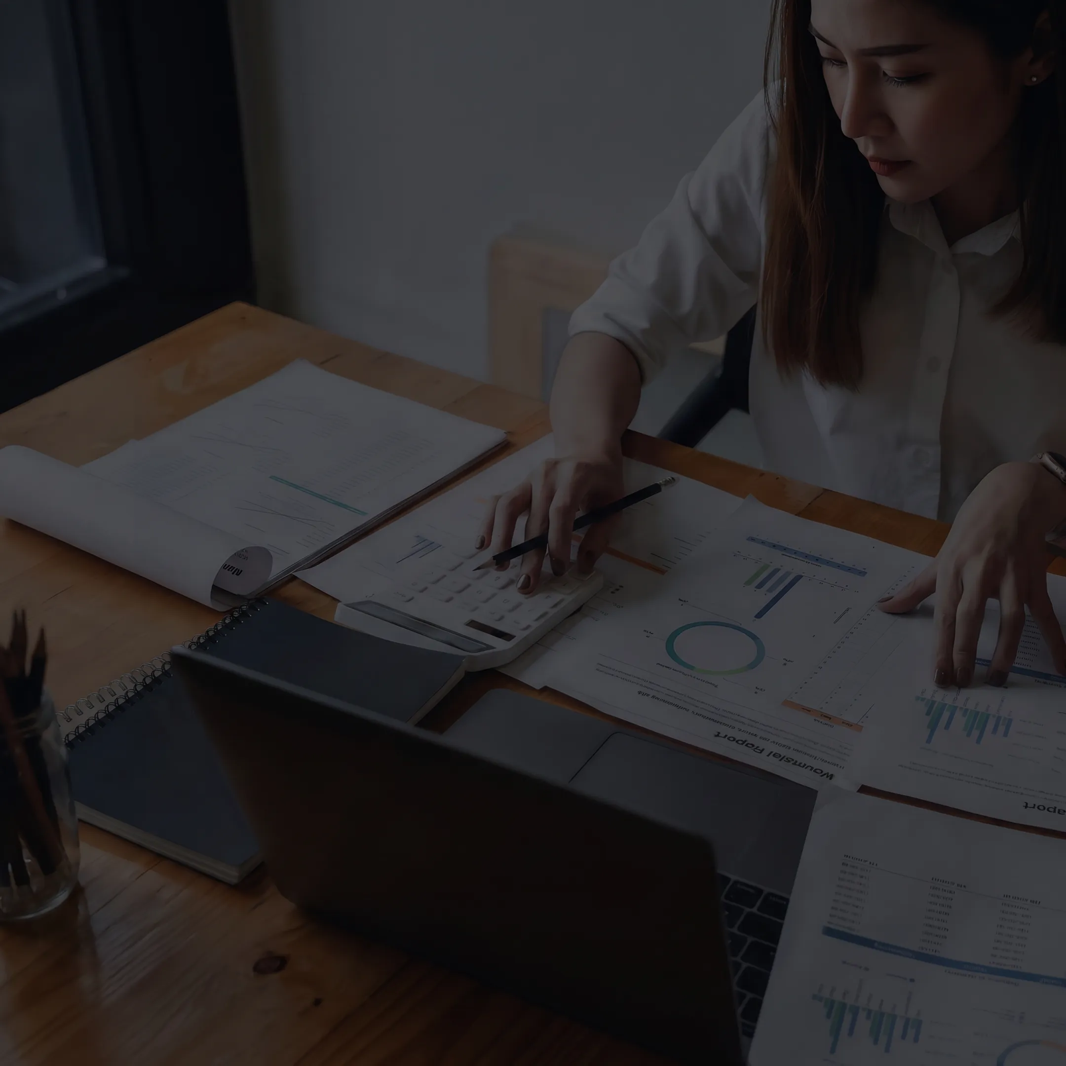 Consultant analyzing business valuation data and ownership documents