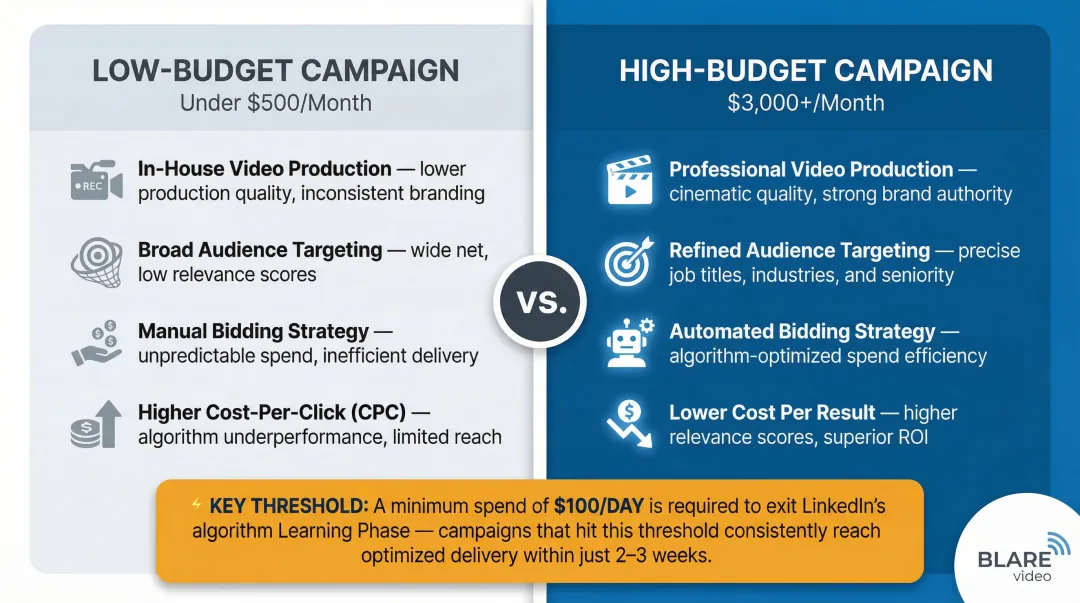 Low budget versus high budget LinkedIn video ad campaign performance comparison infographic