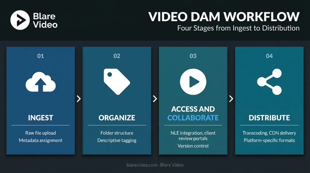Four-stage video DAM production workflow from ingest to distribution process flow