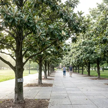 Municipal & Public Green Spaces