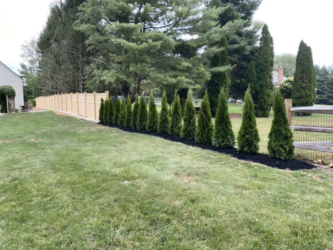 Residential Landscaping