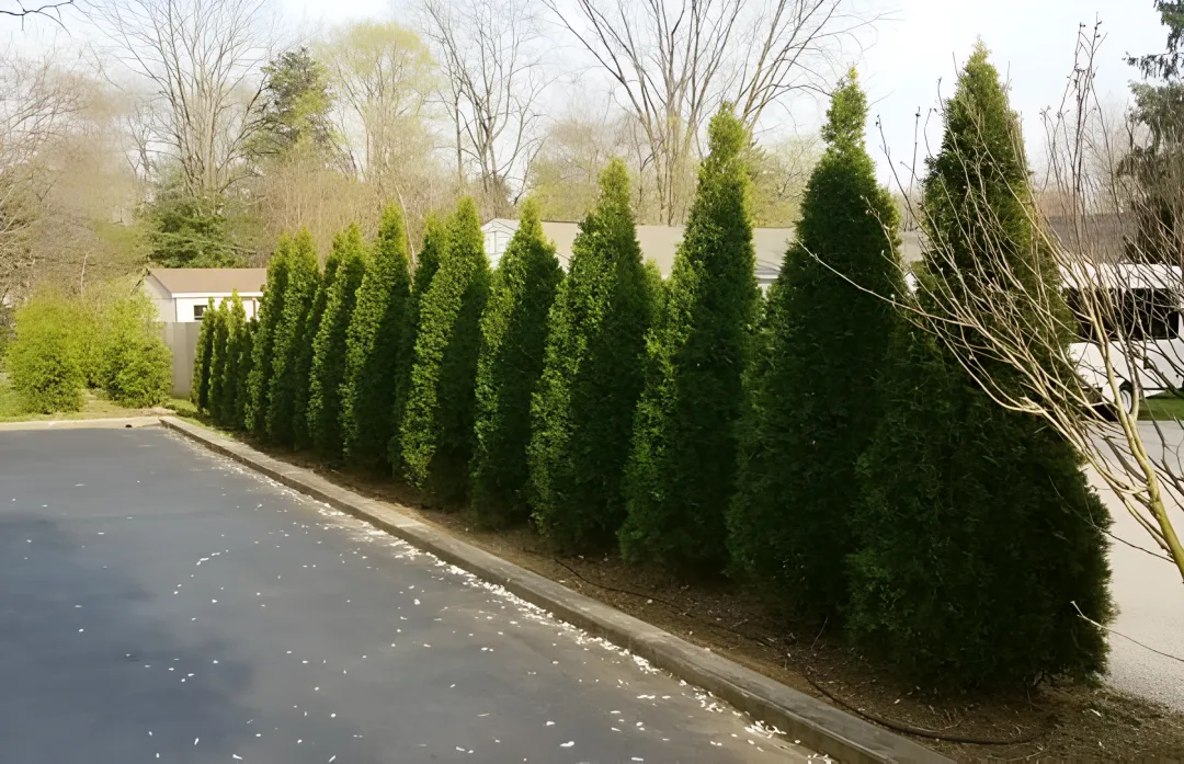 Homeowner Associations & Community Developments