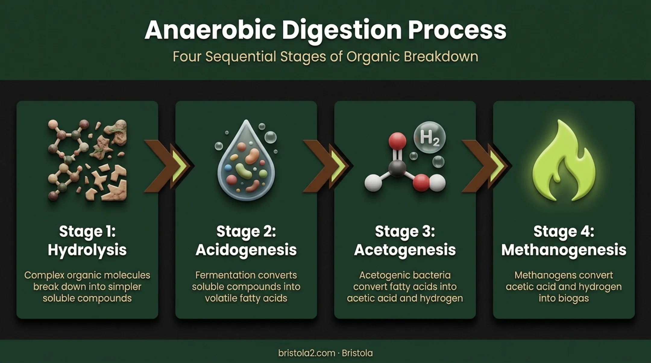 Four-stage anaerobic digestion process from hydrolysis to methanogenesis