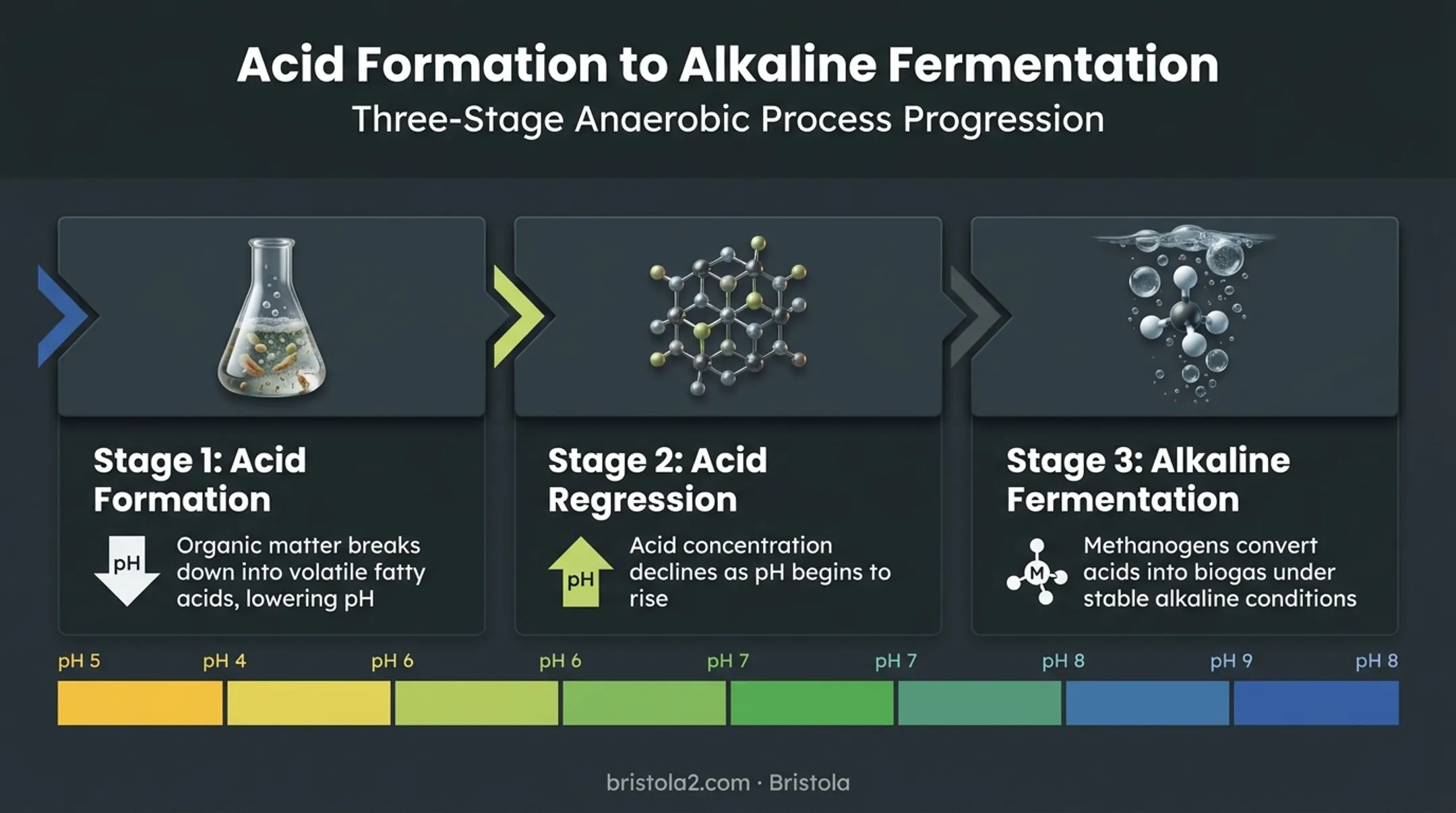 Three stages of anaerobic sludge digestion process timeline