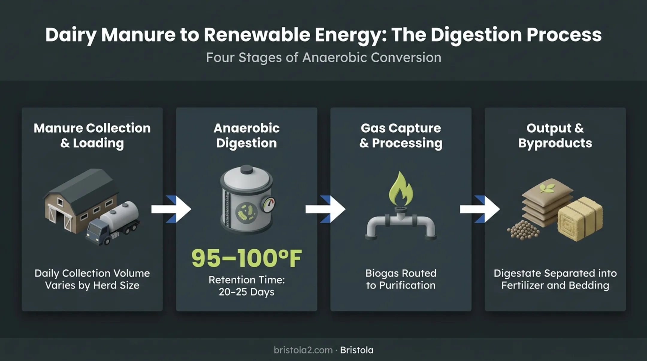 Four-stage anaerobic digestion process from manure collection to byproduct output