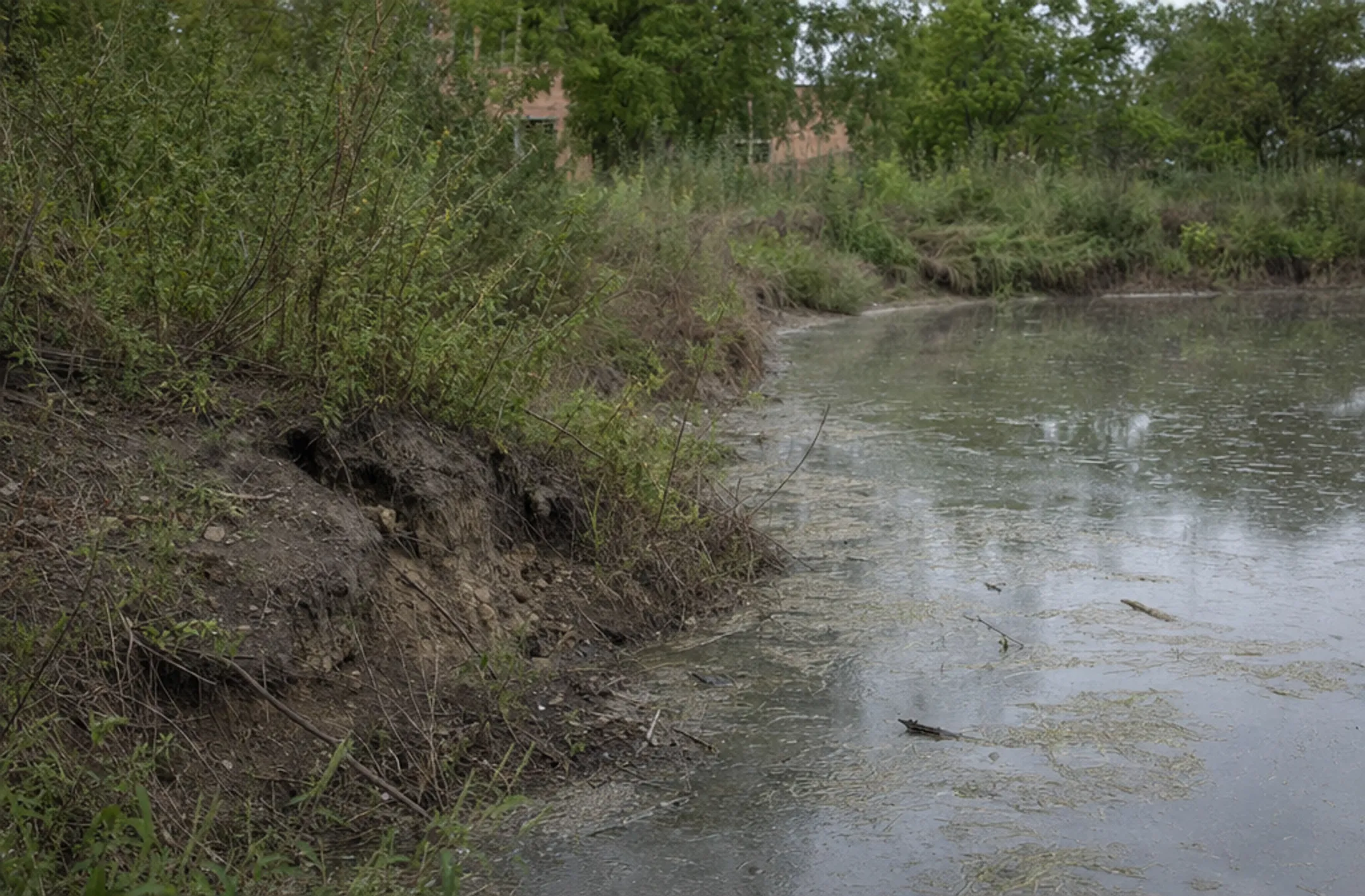 Eroded stormwater pond embankment with overgrown vegetation and bare soil