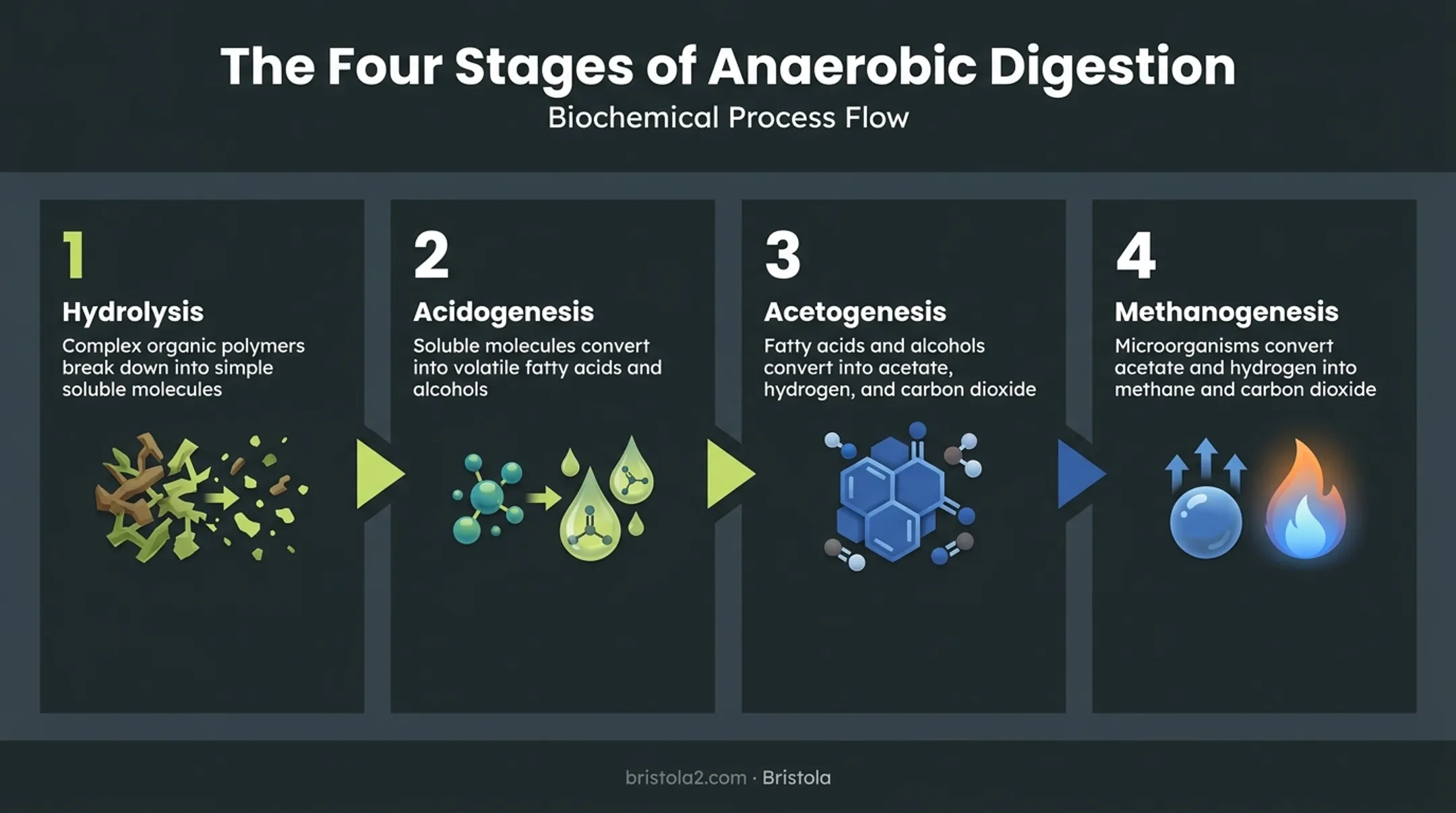 Four stages of anaerobic digestion from hydrolysis to methanogenesis