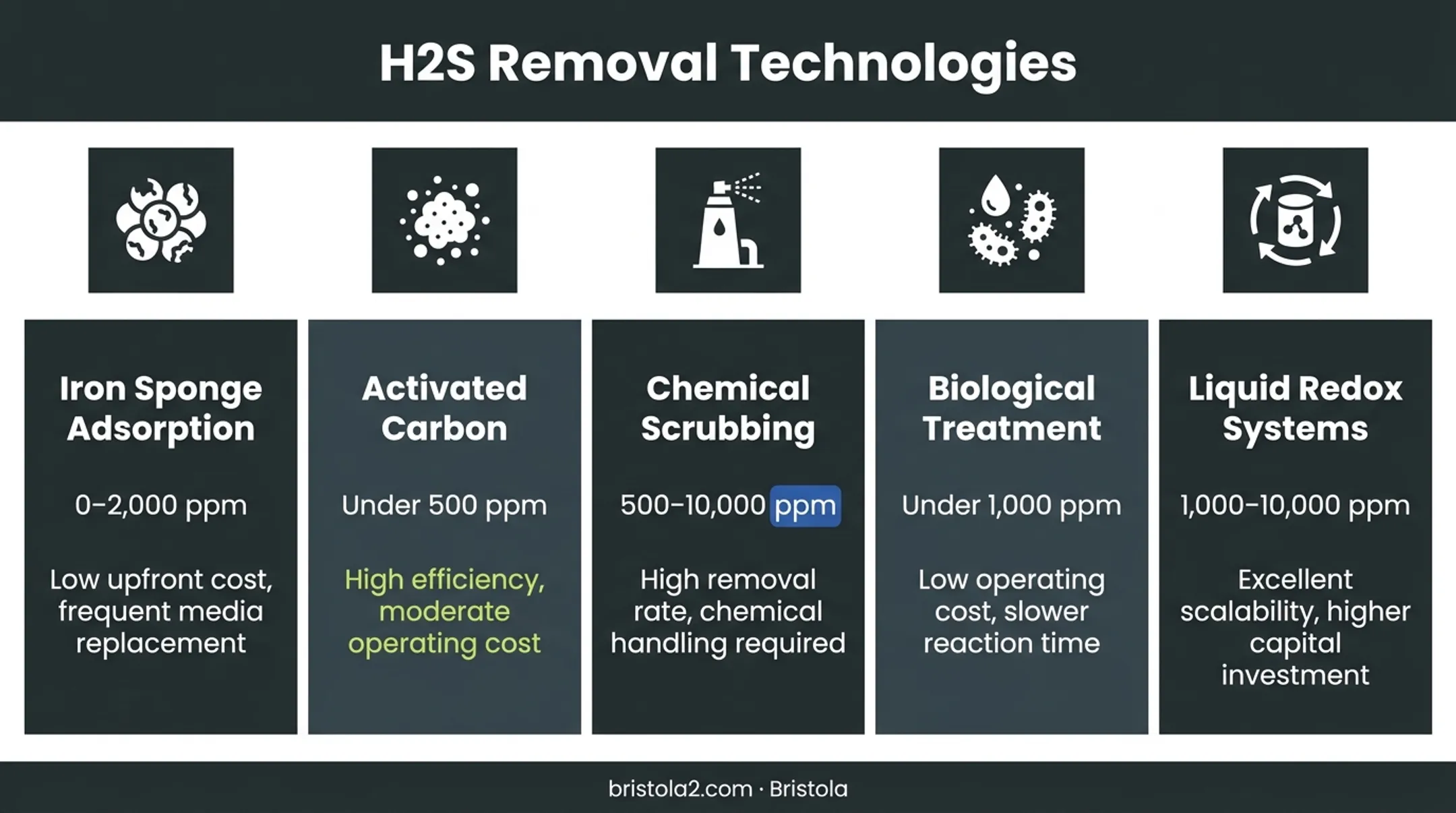 Comparison of five H2S removal methods for natural gas treatment