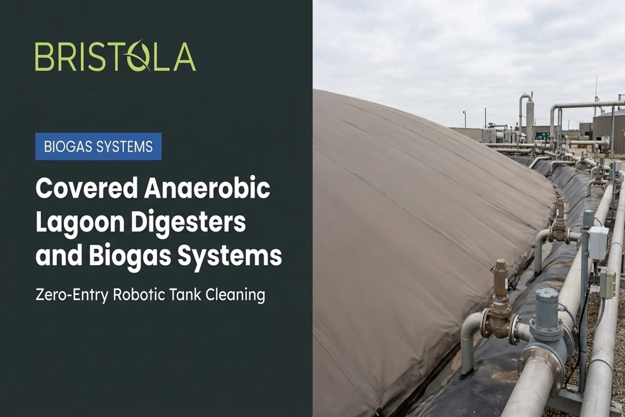 Covered Anaerobic Lagoon Digesters and Biogas Systems