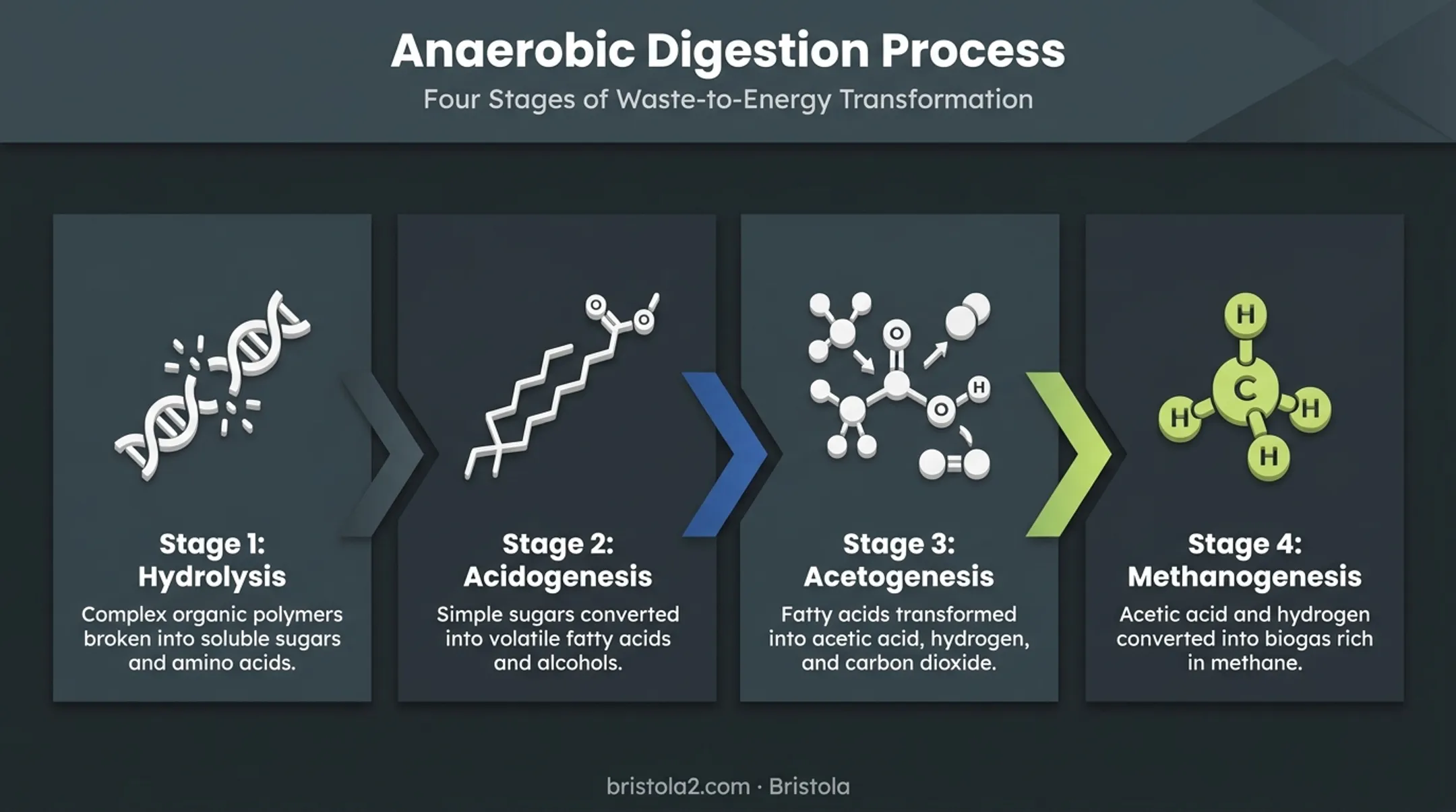 Four biological stages of anaerobic digestion process flow diagram