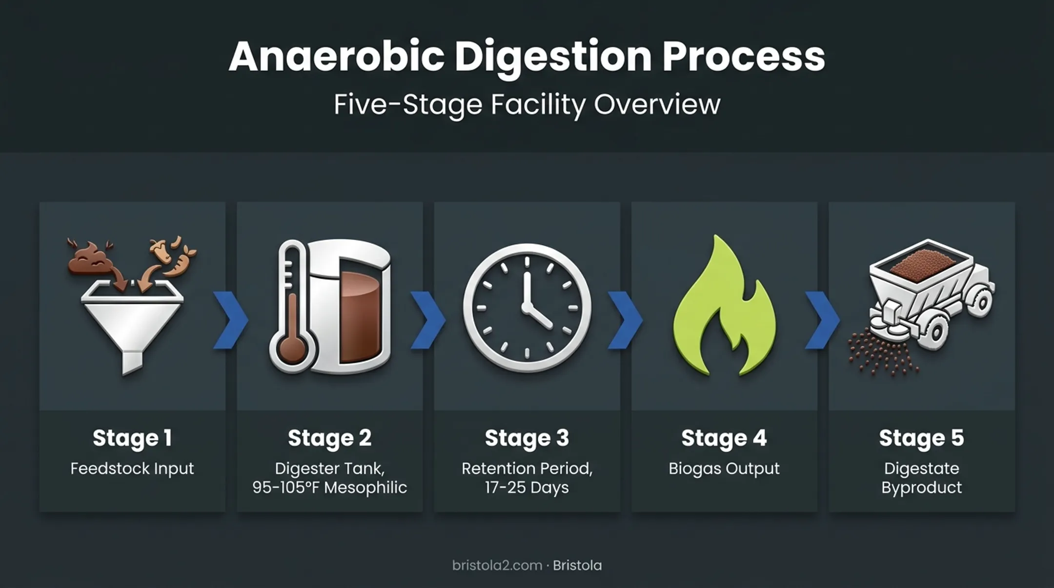 Anaerobic digestion process flow from feedstock to biogas and digestate