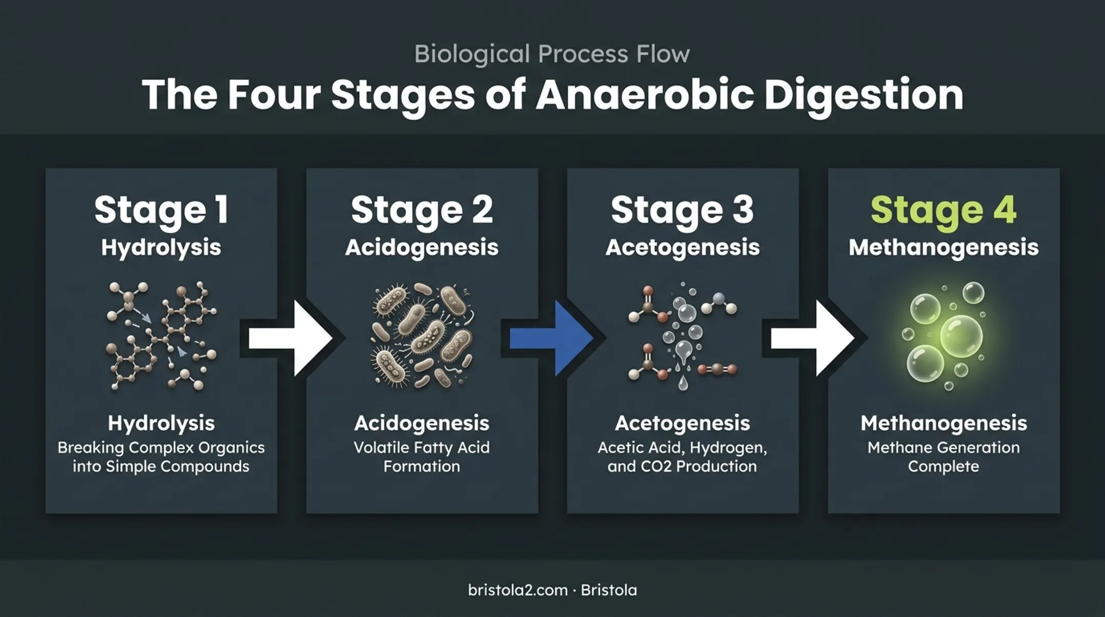 Four-stage anaerobic digestion process from hydrolysis to methanogenesis