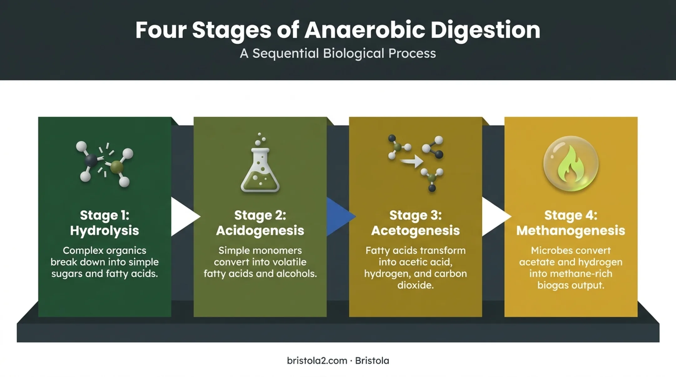 Four-stage anaerobic digestion process from hydrolysis to methanogenesis