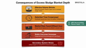 Four cascading consequences of excess sludge blanket depth in primary clarifiers