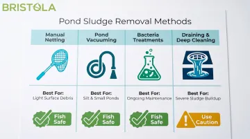 Four pond sludge removal methods comparison chart fish safety and use cases