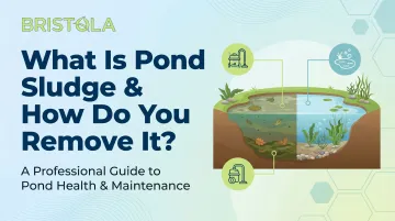 What Is Pond Sludge & How Do You Remove It?
