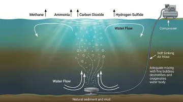 Bottom diffuser aeration system installed in pond showing oxygen bubbles rising from sediment