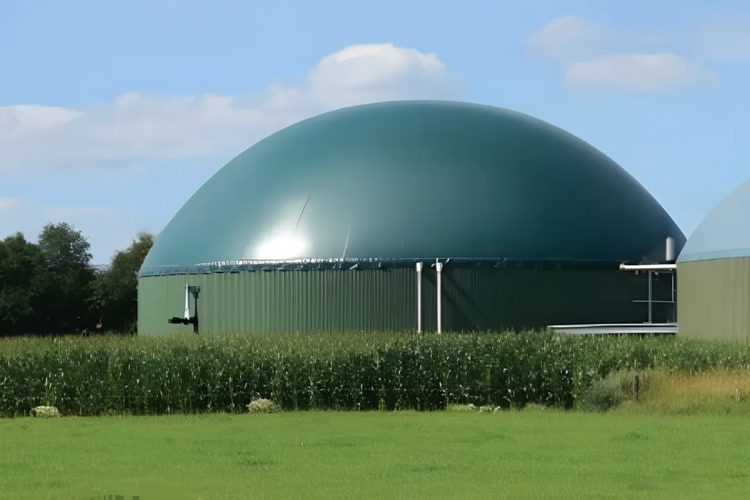Biogas & Renewable Energy