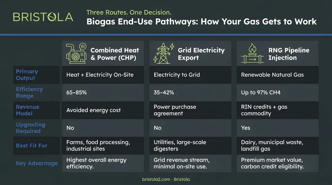Three biogas end-use pathways comparison CHP grid electricity and RNG pipeline injection