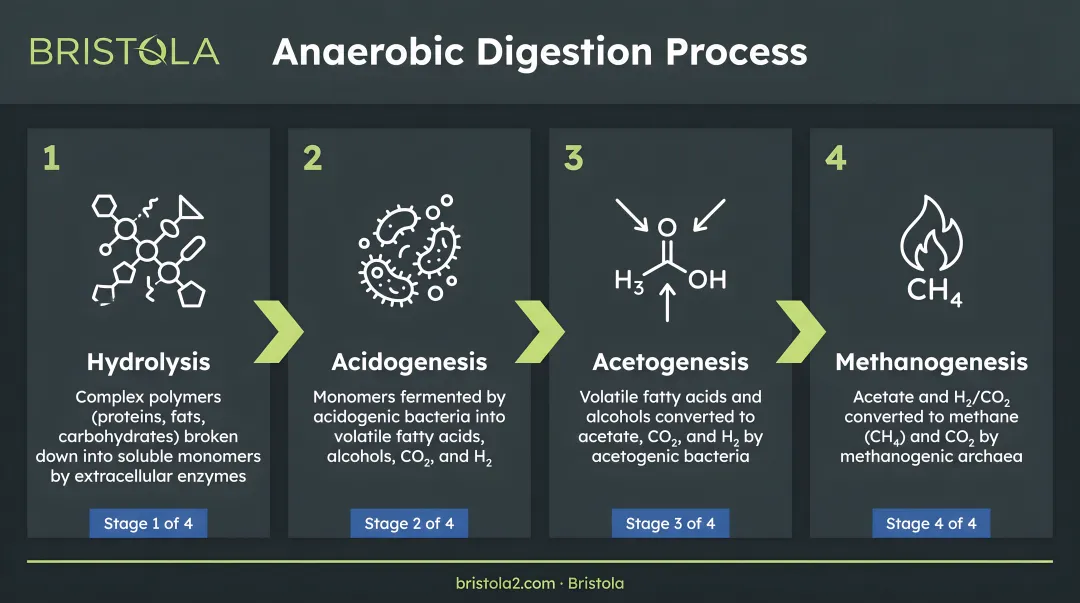 Four-stage anaerobic digestion process flow from hydrolysis to methanogenesis