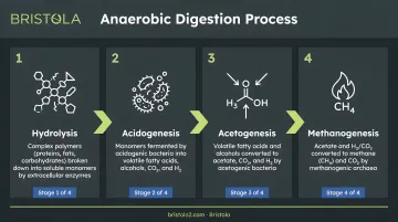 Four-stage anaerobic digestion process flow from hydrolysis to methanogenesis