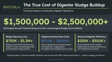 Industrial digester sludge buildup financial impact costs downtime and revenue loss breakdown