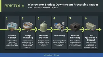 Wastewater sludge downstream processing stages from clarifier to biosolids disposal