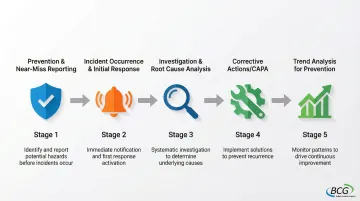 Infographic
