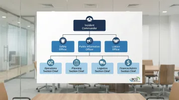 Infographic