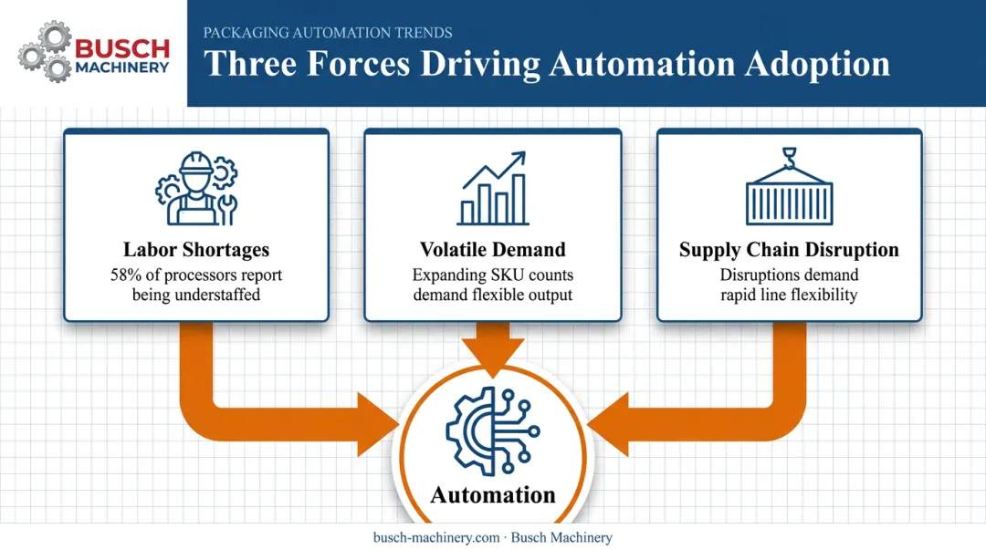 Three key pressures accelerating food packaging automation adoption today