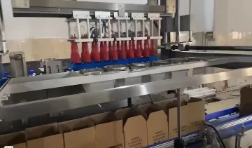 Complete Turnkey Packaging Lines
