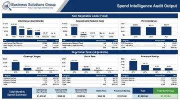 Business Solutions Group merchant fee audit report showing categorized processing cost breakdown