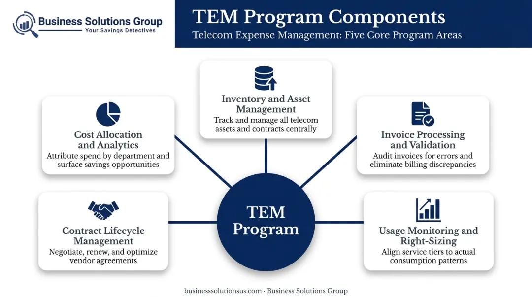 Five core TEM program components interconnected framework diagram