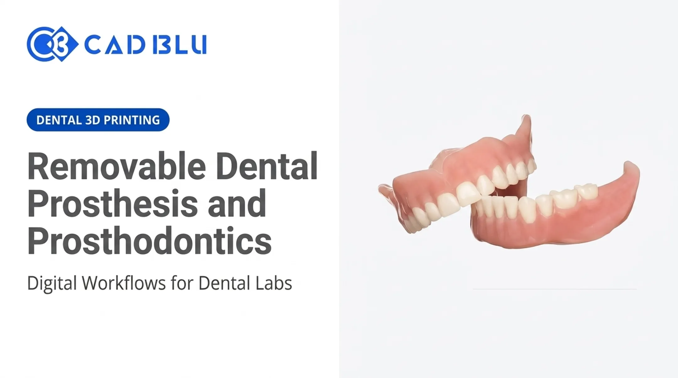 Removable Dental Prosthesis and Prosthodontics
