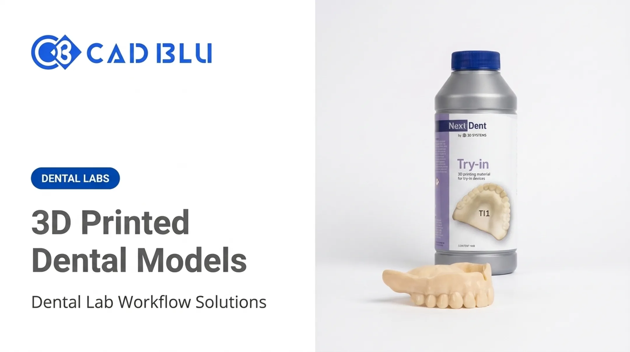 3D Printed Dental Models
