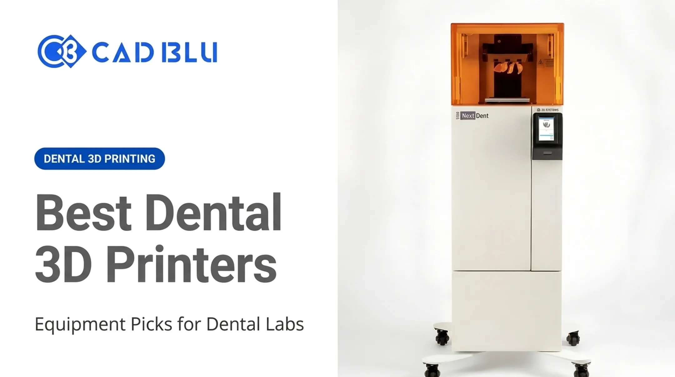 Best Dental 3D Printers