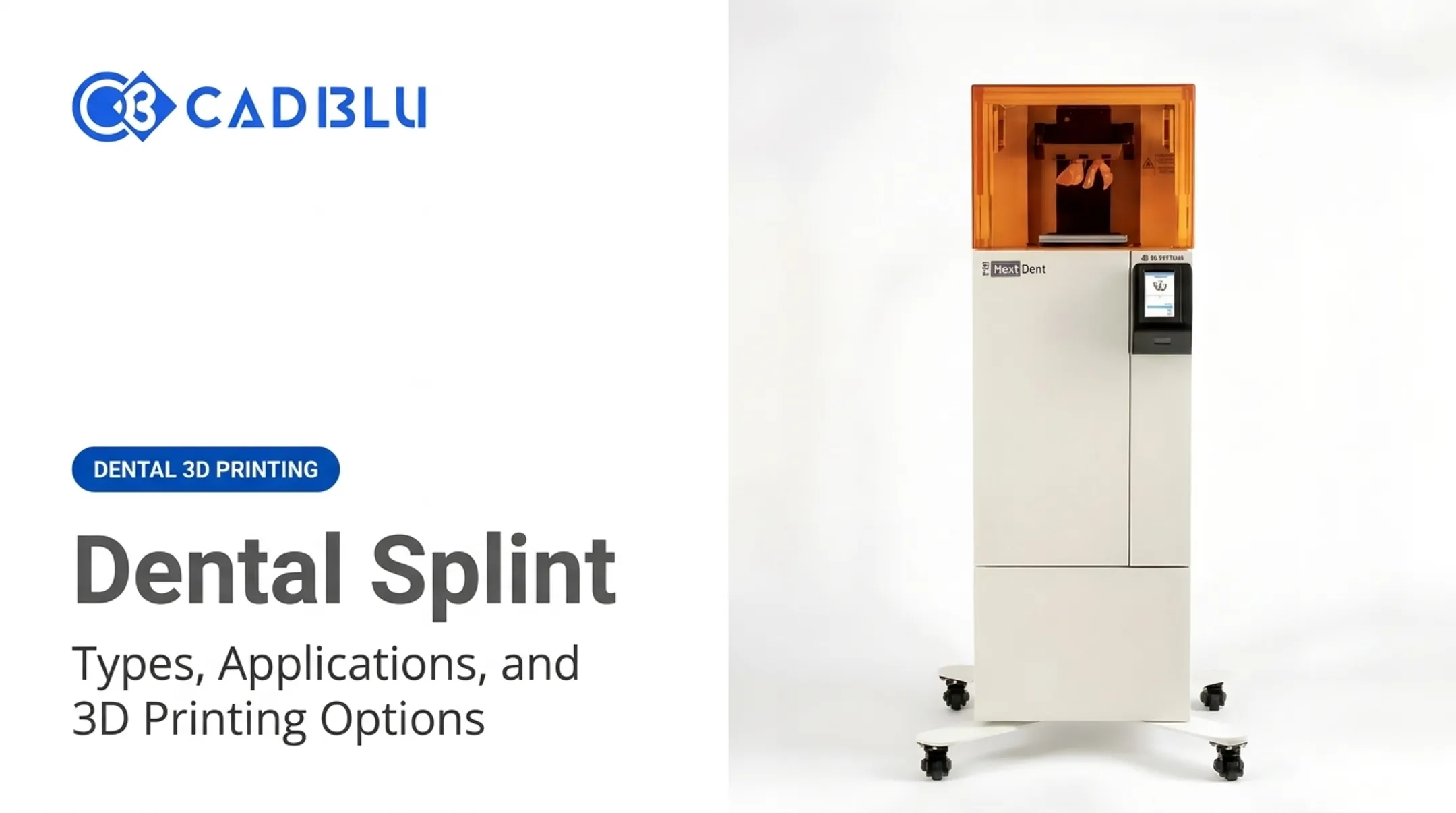 Dental Splint: Types, Applications, and 3D Printing Options